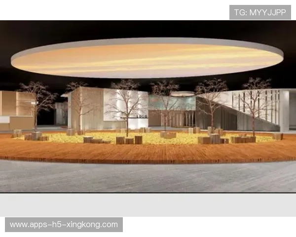 凯尔特人海外青训营:打造品牌扩张的新引擎 凯尔特人海外青训营:打造品牌扩张的新引擎