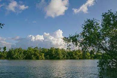 F1巴西站落幕，维斯塔潘再夺分站冠军，f1赛车巴西站