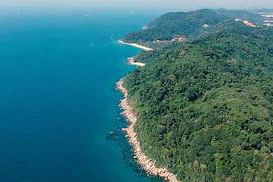 DOTA 2全球粉丝见面会举行，dota2全球活跃人数2021年